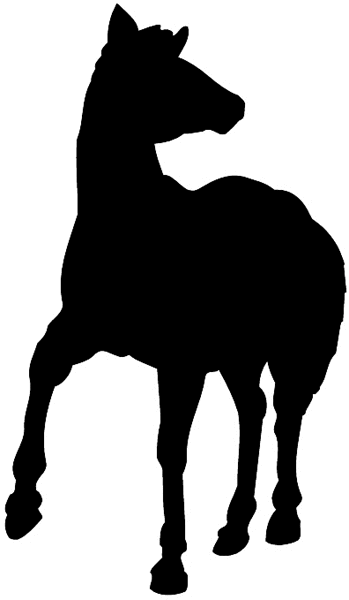 Horse in silhouette vinyl sticker. Customize on line.      Animals Insects Fish 004-1065  